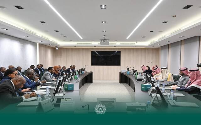 نائب وزير المالية يبحث عدة موضوعات مع وزير التخطيط الاقتصادي في تنزانيا